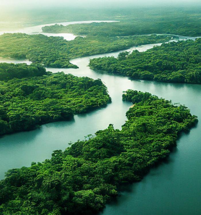 Eco Reserve