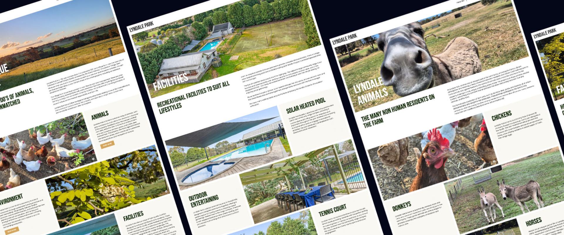 High-fidelity page designs for the Lyndale Park website