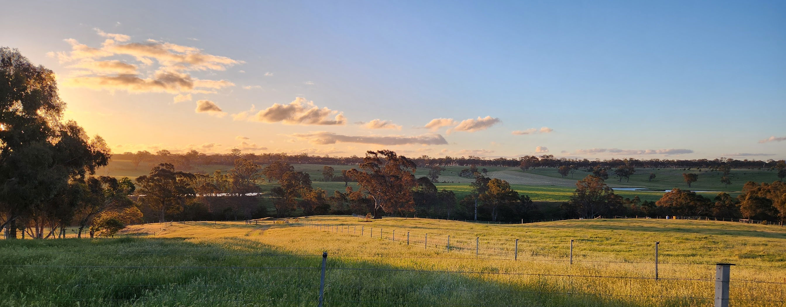 Lyndale Park farm community website